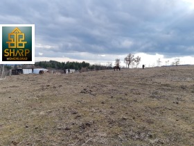 ����� ������� ���������� ����,�. �������, ������ ��������