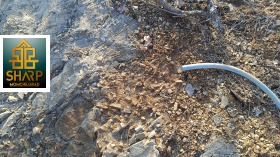 ������� ���������� ���� | Imot.bg � ����� ������ 5