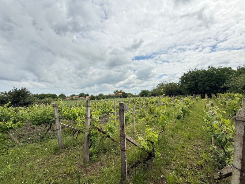Till salu  Hus region Ruse , Ekzarh Iosif , 85 kvm | 50590731 - bild [4]