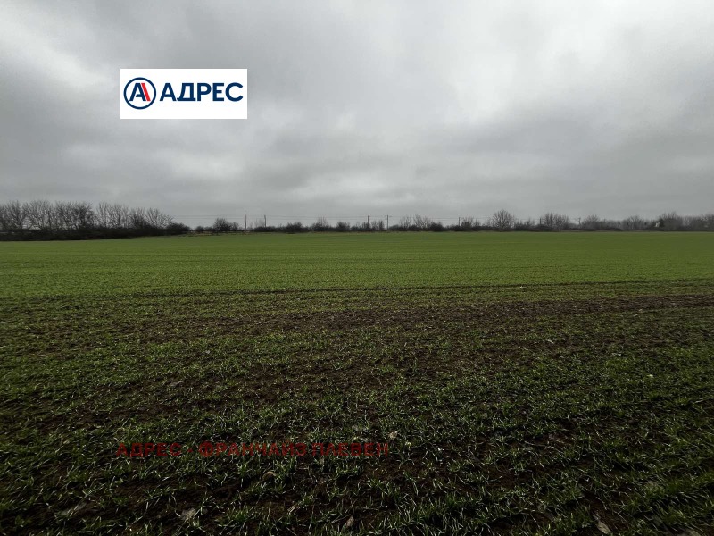 Продава ПАРЦЕЛ, с. Ясен, област Плевен, снимка 3 - Парцели - 53520566