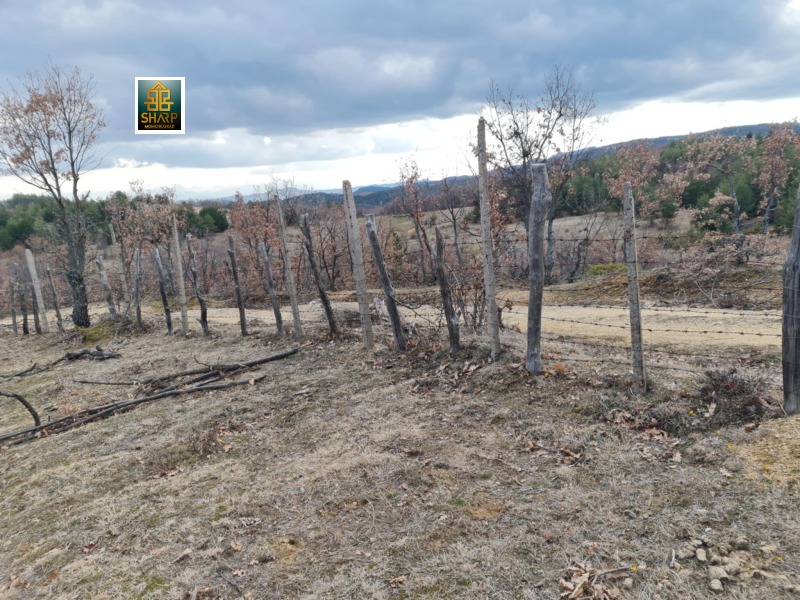 Продава ЗЕМЕДЕЛСКА ЗЕМЯ, с. Купците, област Кърджали, снимка 6 - Земеделска земя - 53511750