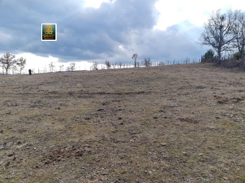 Продава ЗЕМЕДЕЛСКА ЗЕМЯ, с. Купците, област Кърджали, снимка 9 - Земеделска земя - 53511750