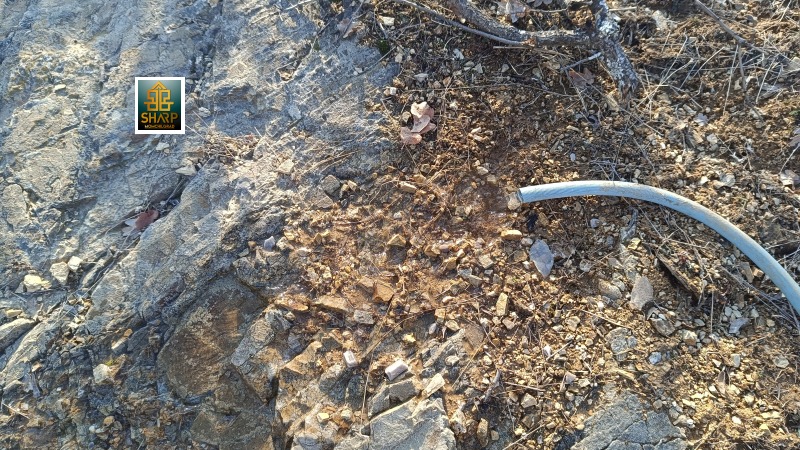 Продава ЗЕМЕДЕЛСКА ЗЕМЯ, с. Купците, област Кърджали, снимка 4 - Земеделска земя - 53511750