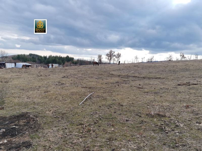 Продава ЗЕМЕДЕЛСКА ЗЕМЯ, с. Купците, област Кърджали, снимка 10 - Земеделска земя - 53511750