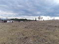 Продава ЗЕМЕДЕЛСКА ЗЕМЯ, с. Купците, област Кърджали, снимка 2