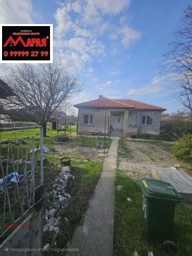 ������ ������� ����