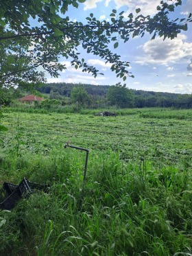 Парцел с. Красново, област Пловдив 1