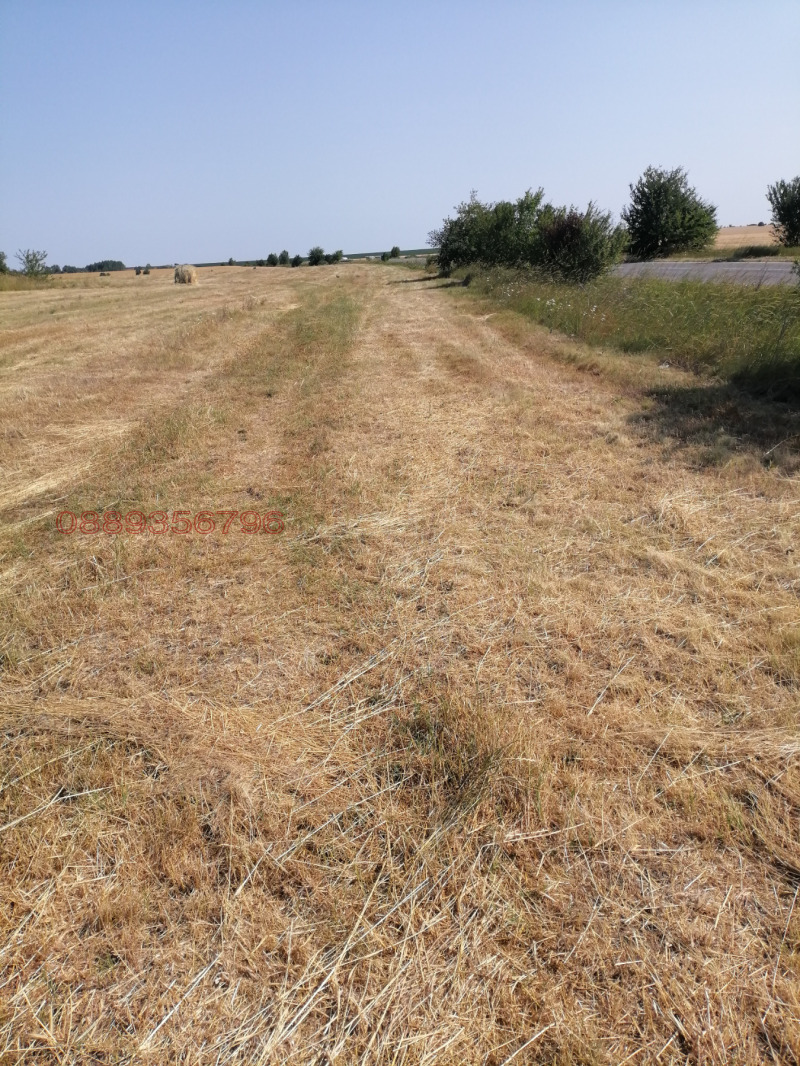 Продава ПАРЦЕЛ, с. Долно Церовене, област Монтана, снимка 3 - Парцели - 52781128