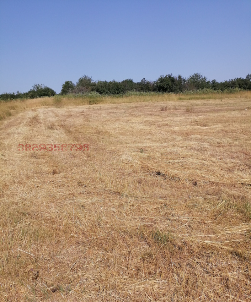 Продава ПАРЦЕЛ, с. Долно Церовене, област Монтана, снимка 2 - Парцели - 52781128