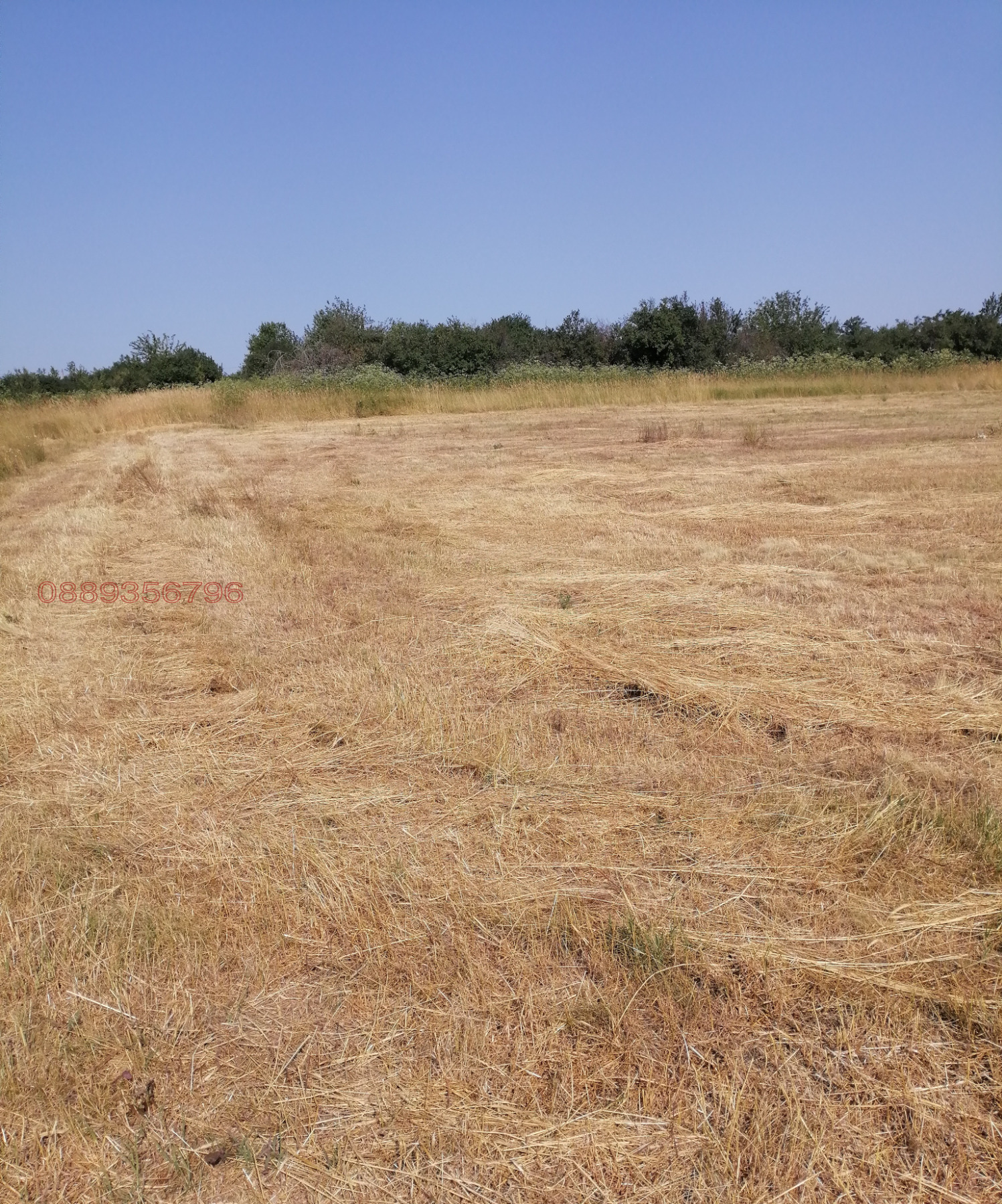 Продава ПАРЦЕЛ, с. Долно Церовене, област Монтана, снимка 2 - Парцели - 52924632