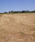 Продава ПАРЦЕЛ, с. Долно Церовене, област Монтана, снимка 2