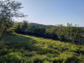 Продава ПАРЦЕЛ, област Пловдив, с. Сърнегор • 48000 лв. • 41380844 — Holmes.bg