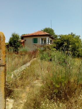 ����� ������� ����,�. ���������, ������ ������