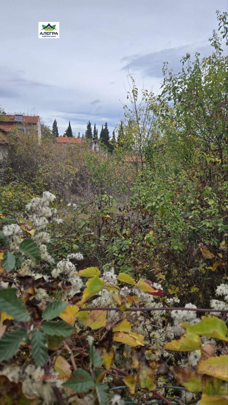 Продава ПАРЦЕЛ в област Пазарджик, с. Паталеница - 1578 кв.м / 137 000 € » 267 948.71 лв., АЛЕГРА ИМОТИ