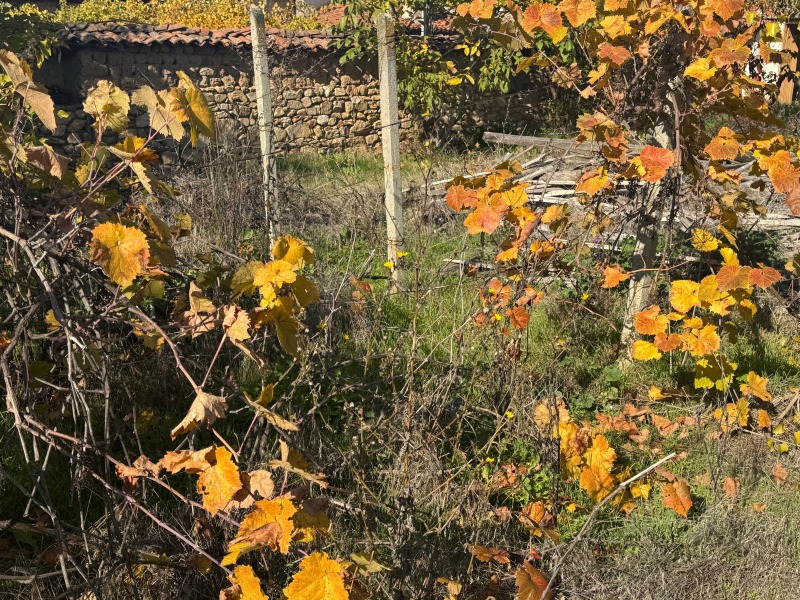 Продава КЪЩА, с. Отец Паисиево, област Пловдив, снимка 2 - Къщи - 52509441