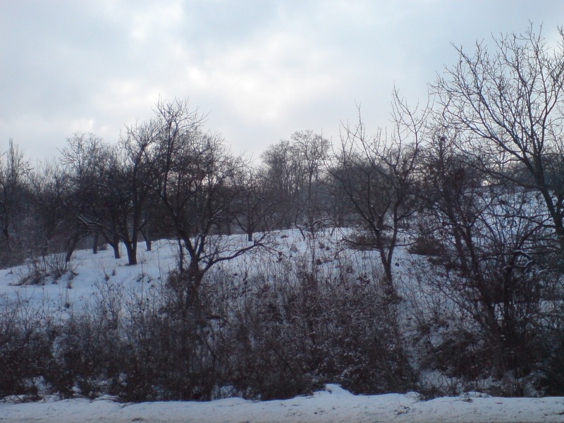 Продава ПАРЦЕЛ, гр. София, с. Кокаляне, снимка 5 - Парцели - 52535017