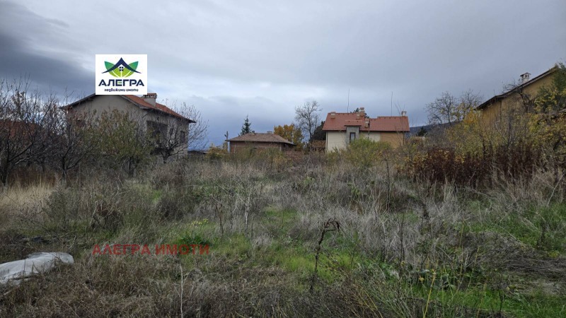 Продава ПАРЦЕЛ, с. Паталеница, област Пазарджик, снимка 3 - Парцели - 52564485
