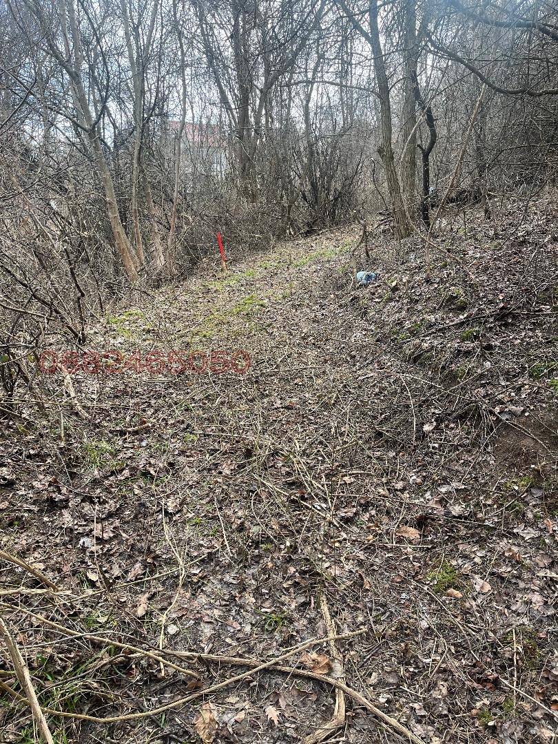 ������� ������ | Imot.bg � ����������� 5