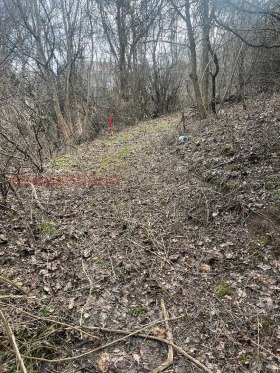 ������� ������ | Imot.bg � ����� ������ 5