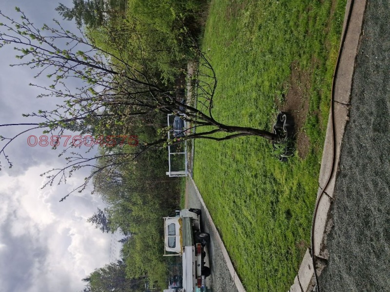 Na sprzedaż  Dom region Sofia , Wakarel , 99 mkw | 39691447 - obraz [6]