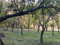 Продава ПАРЦЕЛ, гр. Габрово, Шенини, снимка 1