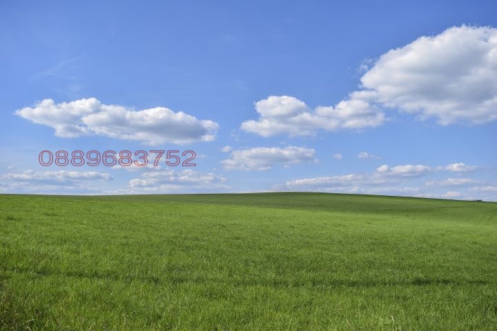 Продава ЗЕМЕДЕЛСКА ЗЕМЯ, с. Овча могила, област Велико Търново