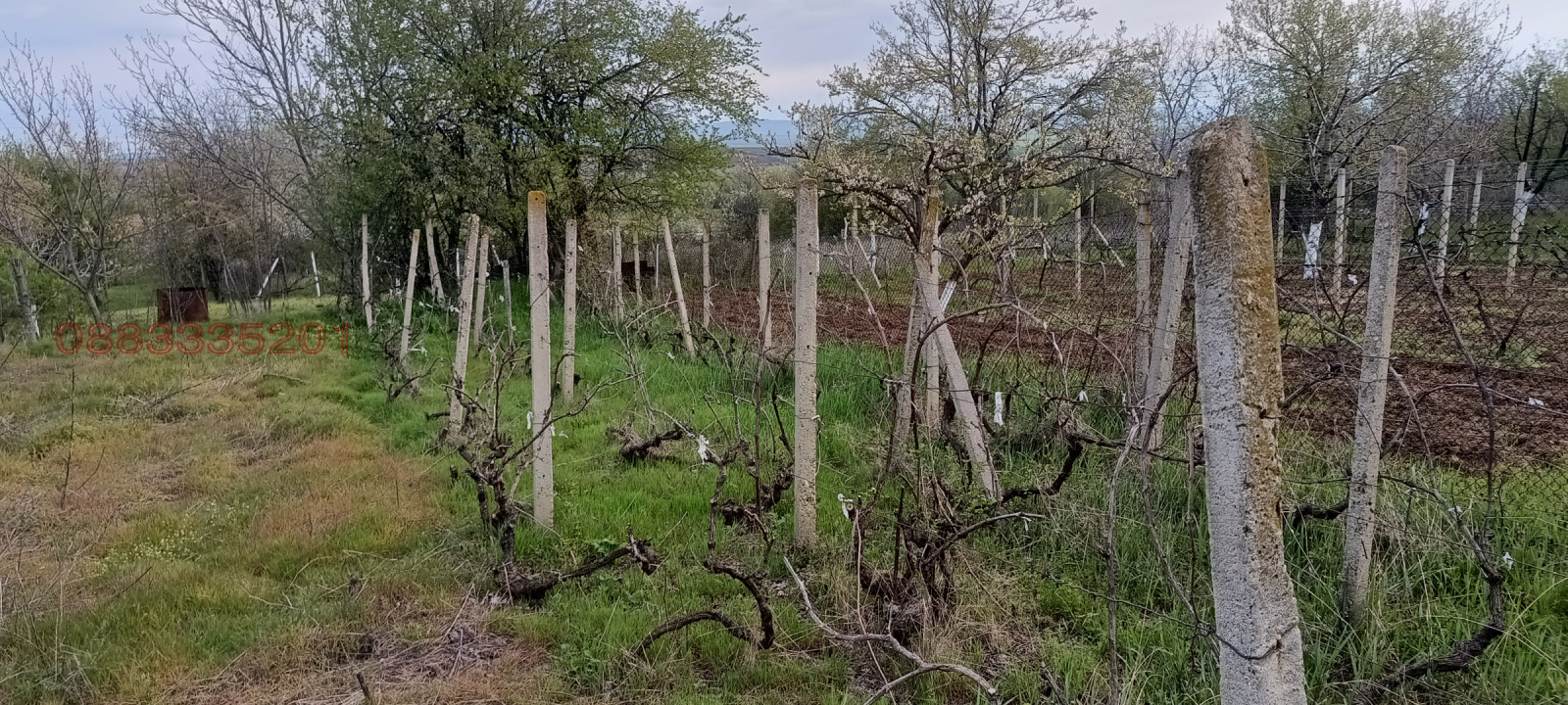 Продава ПАРЦЕЛ, с. Драгижево, област Велико Търново, снимка 4 - Парцели - 54150585