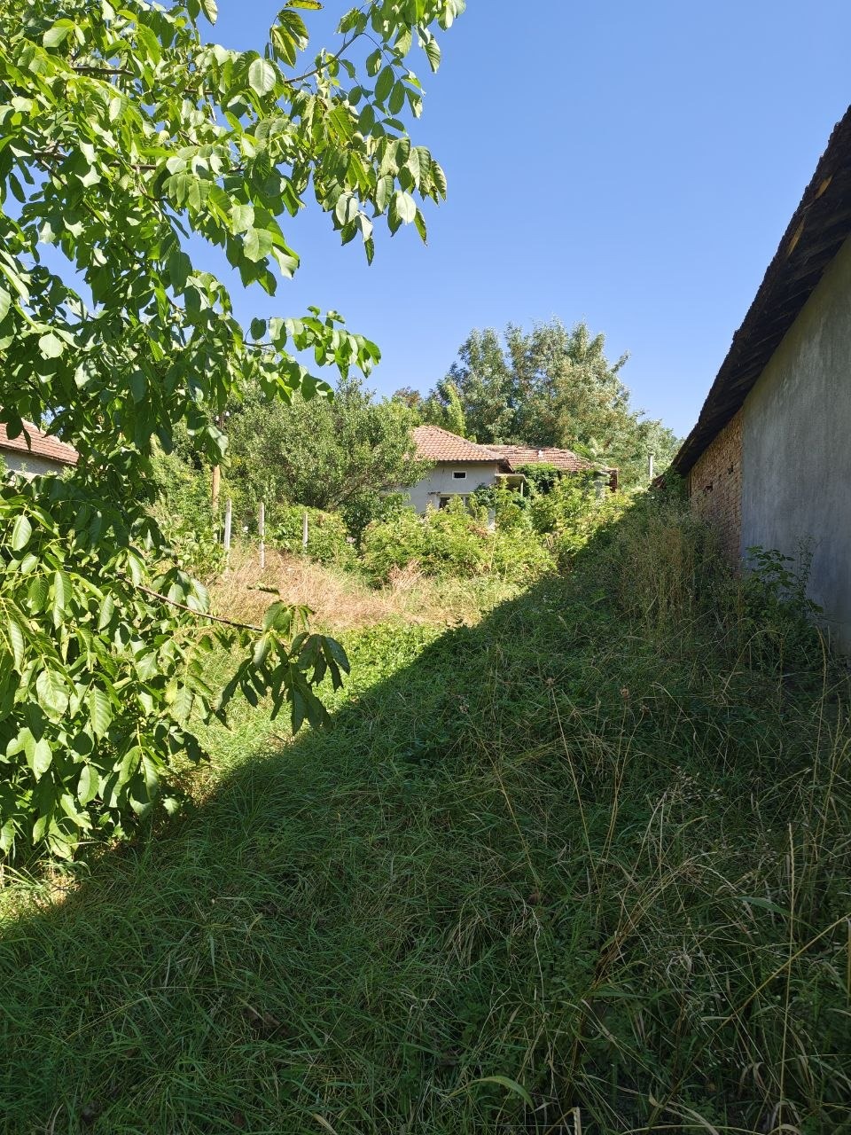 ������� ���� | Imot.bg � ����������� 1