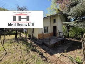 ������ ������� ����