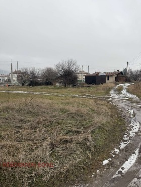 ����� ������� ������,��. ��������, ������ �����