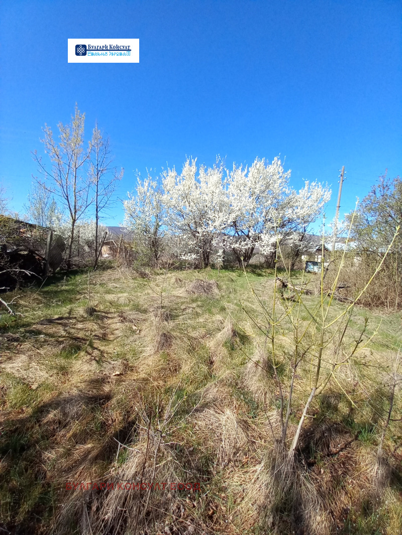 For Sale  Plot region Blagoevgrad , Logodazh , 2453 sq.m | 98115036 - image [9]