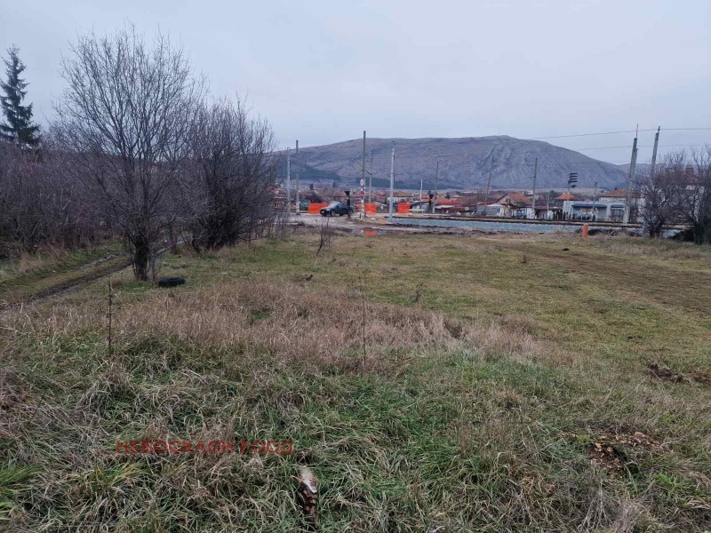 Продава ПАРЦЕЛ, гр. Драгоман, област София област, снимка 2 - Парцели - 53506082