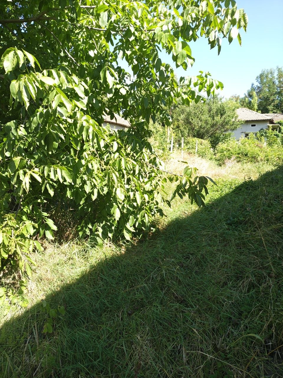 Продава КЪЩА, с. Ореховица, област Плевен, снимка 2 - Къщи - 55705570