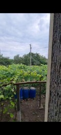 Продава КЪЩА, с. Дропла, област Добрич, снимка 11