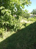 Продава КЪЩА, с. Ореховица, област Плевен, снимка 2