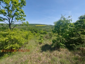 Kara Malka Vereya, bölge Stara Zagora 6