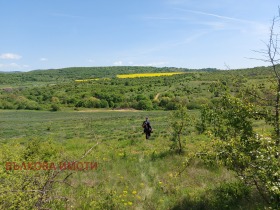 Земеделска земя с. Малка Верея, област Стара Загора 5