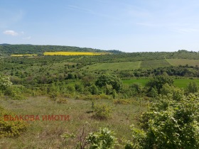 Kara Malka Vereya, bölge Stara Zagora 3