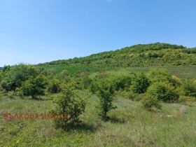 Jord Malka Vereya, region Stara Zagora 13