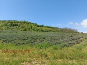 Jord Malka Vereya, region Stara Zagora 11