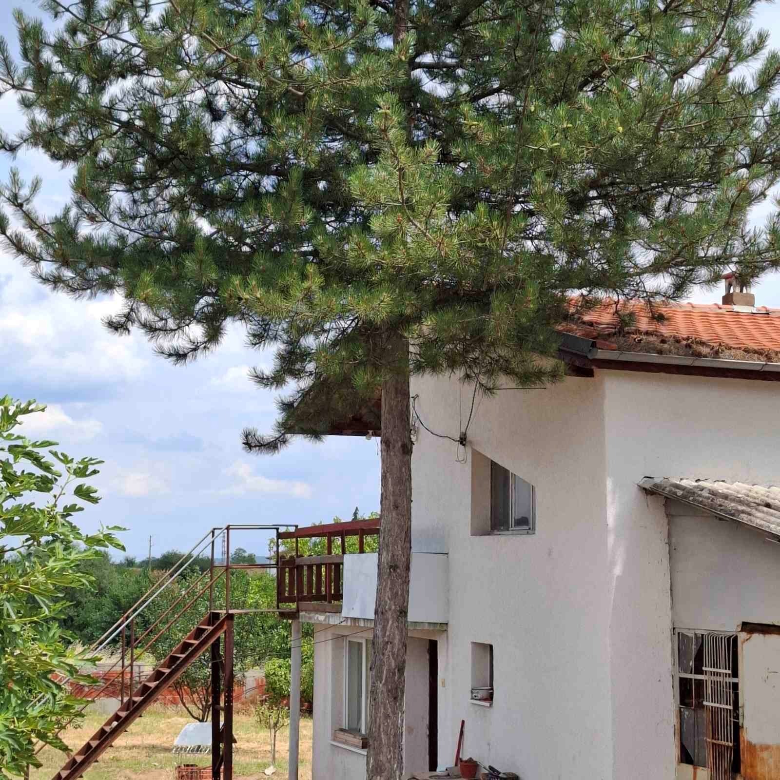 Продава КЪЩА, с. Крепост, област Хасково, снимка 6 - Къщи - 56103421