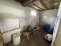Продава КЪЩА, с. Бреница, област Плевен, снимка 12