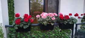  2- | Imot.bg    12