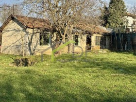 ������ ������� ����