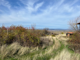 ����� ������� ������,�. ����������, ������ ���������