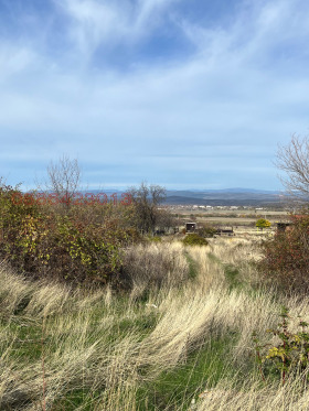 ������� ������ | Imot.bg � ����� ������ 7