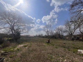 ������ ������� ������