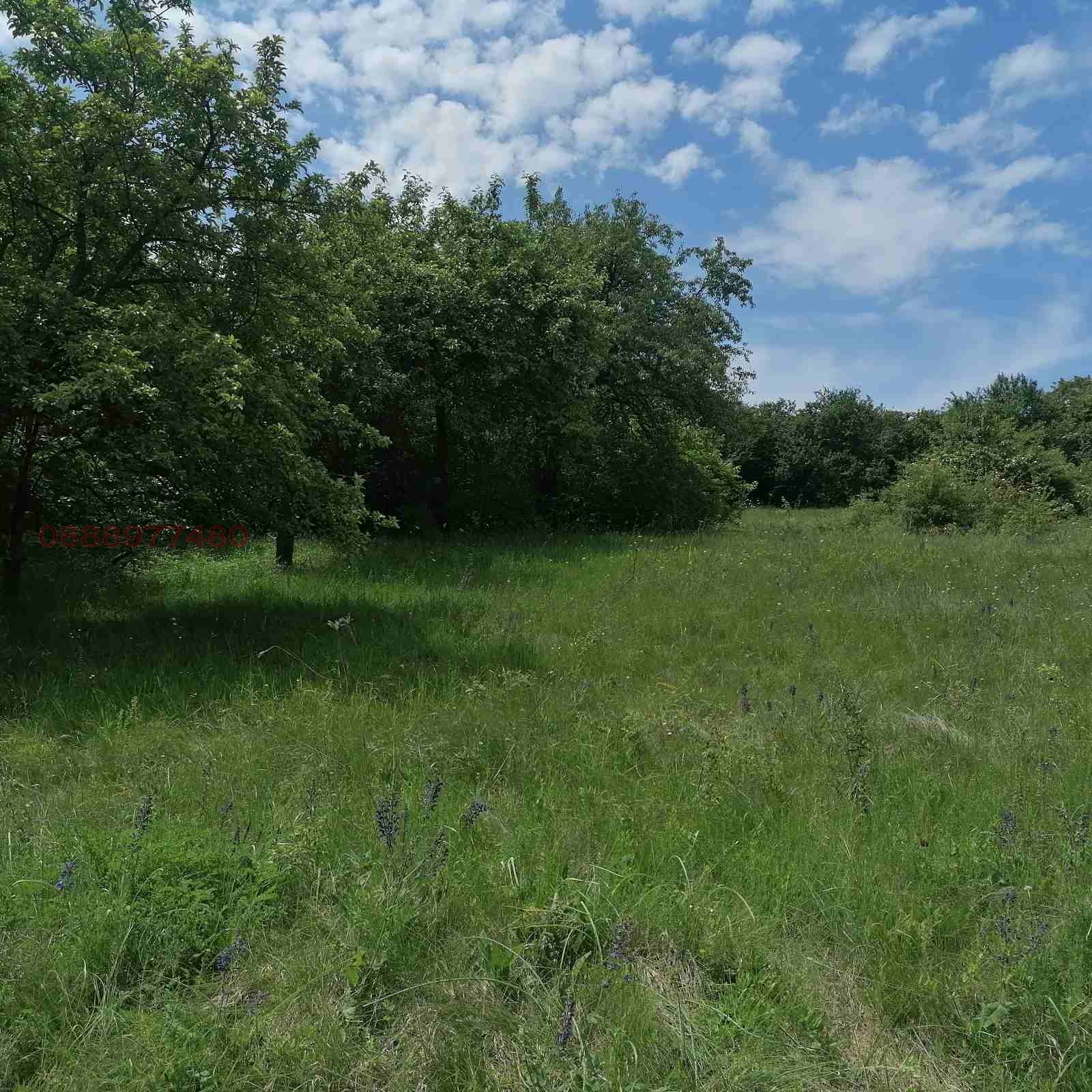 Продава ПАРЦЕЛ, с. Режанци, област Перник, снимка 2 - Парцели - 56160797