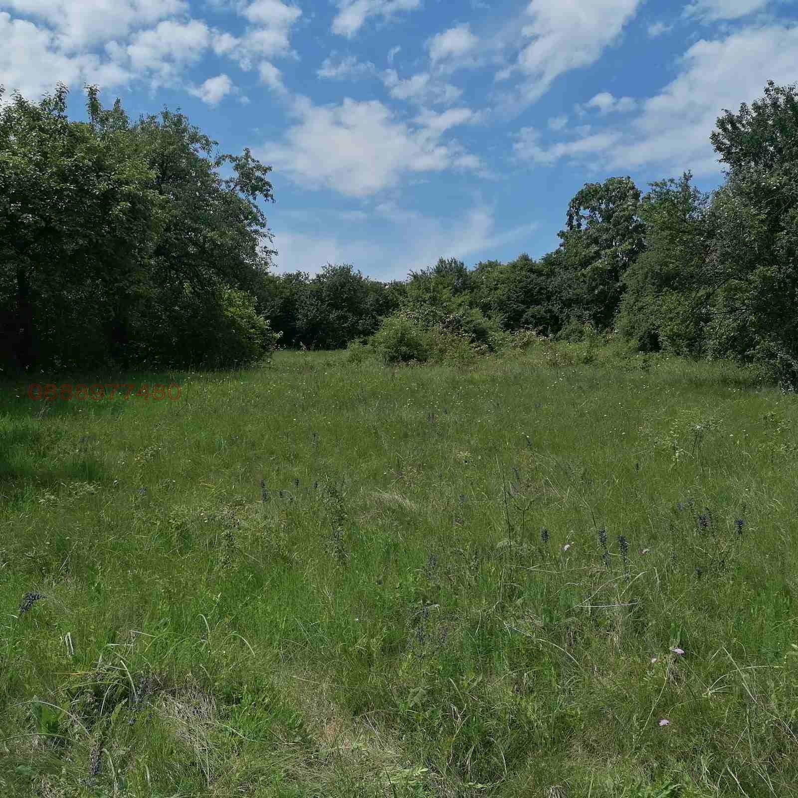 Продава ПАРЦЕЛ, с. Режанци, област Перник