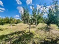 Продава КЪЩА, с. Горно Абланово, област Русе, снимка 15